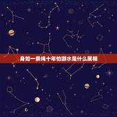 身如一条绳十年怕游水是什么属相，猜生肖身如一条绳猜十年怕游水配地支子为