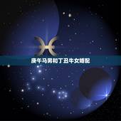 庚午马男和丁丑牛女婚配，马男与牛女配可以吗？`
