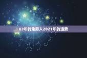 63年的兔男人2021年的运势，属兔人2021年运势运程每月运程