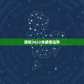 属蛇2022年感情运势，2017年属鸡跟属蛇的夫妻感情运势