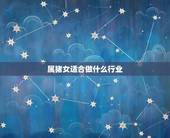 属猪女适合做什么行业，属猪的干什么行业好