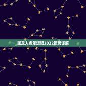 属龙人虎年运势2022运势详解，鼠年运势2022 运势详解