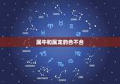属牛和属龙的合不合，属龙人和属牛人谁厉害