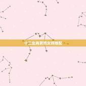 十二生肖男鸡女鸡婚配，属鸡的女生与什么属相的男生相配吗