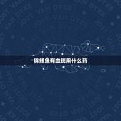 锦鲤鱼有血斑用什么药，锦鲤身体张血斑出血怎么回事