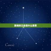 属相的三会是什么意思，属相三会是什么伊思好不好