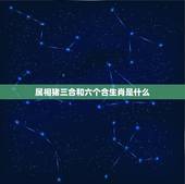 属相猪三合和六个合生肖是什么，属猪的相配吗 属龙和属猪的婚姻合不合