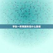 手执一斧两脚夹是什么属相，“手执一斧两脚夹”这句话形容哪个生肖？