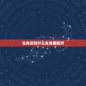 生肖龙和什么生肖最配对，生肖龙2022 年运势大全