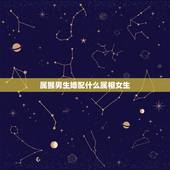 属猴男生婚配什么属相女生，1980年属猴的（男）找什么与什么属相（女）