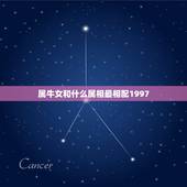 属牛女和什么属相最相配1997，属牛和什么属相最相配 详细