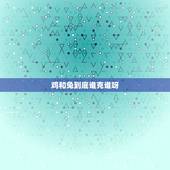 鸡和兔到底谁克谁呀，87兔跟93鸡