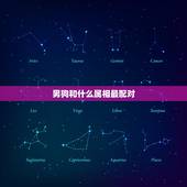 男狗和什么属相最配对，属狗男的和什么属相最配