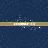 结婚伴郎忌讳什么属相，婚礼忌属相怎么写
