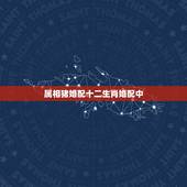 属相猪婚配十二生肖婚配中，十二生肖属猪跟什么属相（婚恋）最相配