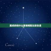 属虎的和什么属相相配比较合适，属虎的属相婚配表，属虎的和什么属相最配，