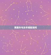 男属牛与女牛婚配如何，男属牛女属虎的婚配怎么样？能结婚吗