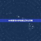 66年属马55岁会遇上什么灾难，66年女人属马一生命运