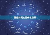 属相的英文是什么意思，怎样用英文解释“本命年”“生肖”之类的