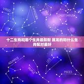 十二生肖和哪个生肖最般配 属龙的和什么生肖配对最好