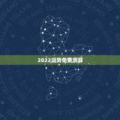 2022运势免费测算，2022年运势最好的生肖