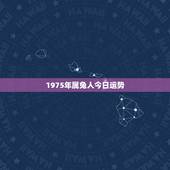 1975年属兔人今日运势，1975兔今天财运