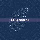 关于12生肖的成语大全，十二生肖的吉祥成语大全