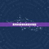 属狗的属相和属鼠的相配，男属狗女属鼠相配吗 详细