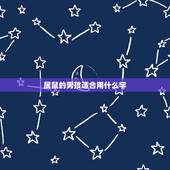 属鼠的男孩适合用什么字，鼠年男孩取名字大全