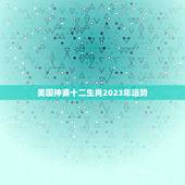 美国神婆十二生肖2023年运势，2023年年十二生肖流年运势？