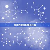 属羊的更佳配偶是什么，属羊更佳配偶生肖