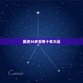 属虎36岁后有十年大运 天生就聪明的六大星座