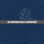 老公属兔我属马生什么属相的宝宝，属蛇和属马的姻缘