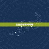 生肖最佳配对婚姻，十二生肖姻缘配对-12生肖最佳配对-十二生肖属相配对