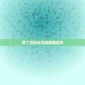 男丁丑和女戊寅能婚配吗，女命:丙子 甲午 甲申 辛未。男方:丁丑 丁未