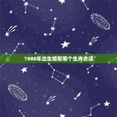 1988年出生婚配哪个生肖合适，88年的男生最佳配偶是什么属相？
