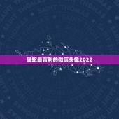 属蛇最吉利的微信头像2022，蛇生肖微信头像什么更好