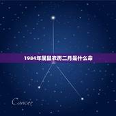 1984年属鼠农历二月是什么命，1985年属牛是什么命五行是什么