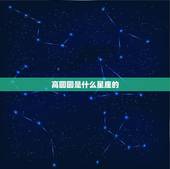 高圆圆是什么星座的，高圆圆的个人资料