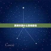 属猪的跟什么属相最佳，属猪和什么属相最配？和什么属相不配？