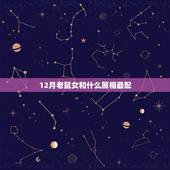 12月老鼠女和什么属相最配，女属鼠和什么属相最配或最差