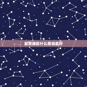 鼠男婚配什么属相最好，属牛的男生配什么属相的女生