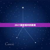 2021属蛇相冲的属相，谁能算一算2021年属蛇人的运势？