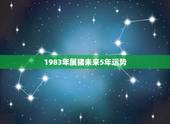 1983年属猪未来5年运势，83年属猪女2022 年运势