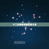 十二生肖属相婚配表大全，十二生肖相生相克