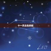 十一月出生的蛇，属蛇十一月出生是啥命