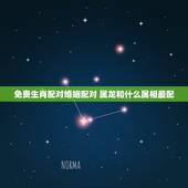 免费生肖配对婚姻配对 属龙和什么属相最配