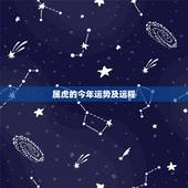 属虎的今年运势及运程 属虎人2022年财运运势