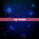 大象不合的属相，什么属相不能摆放大象