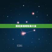 属蛇属相婚配表大全，属蛇的和什么属相相克
